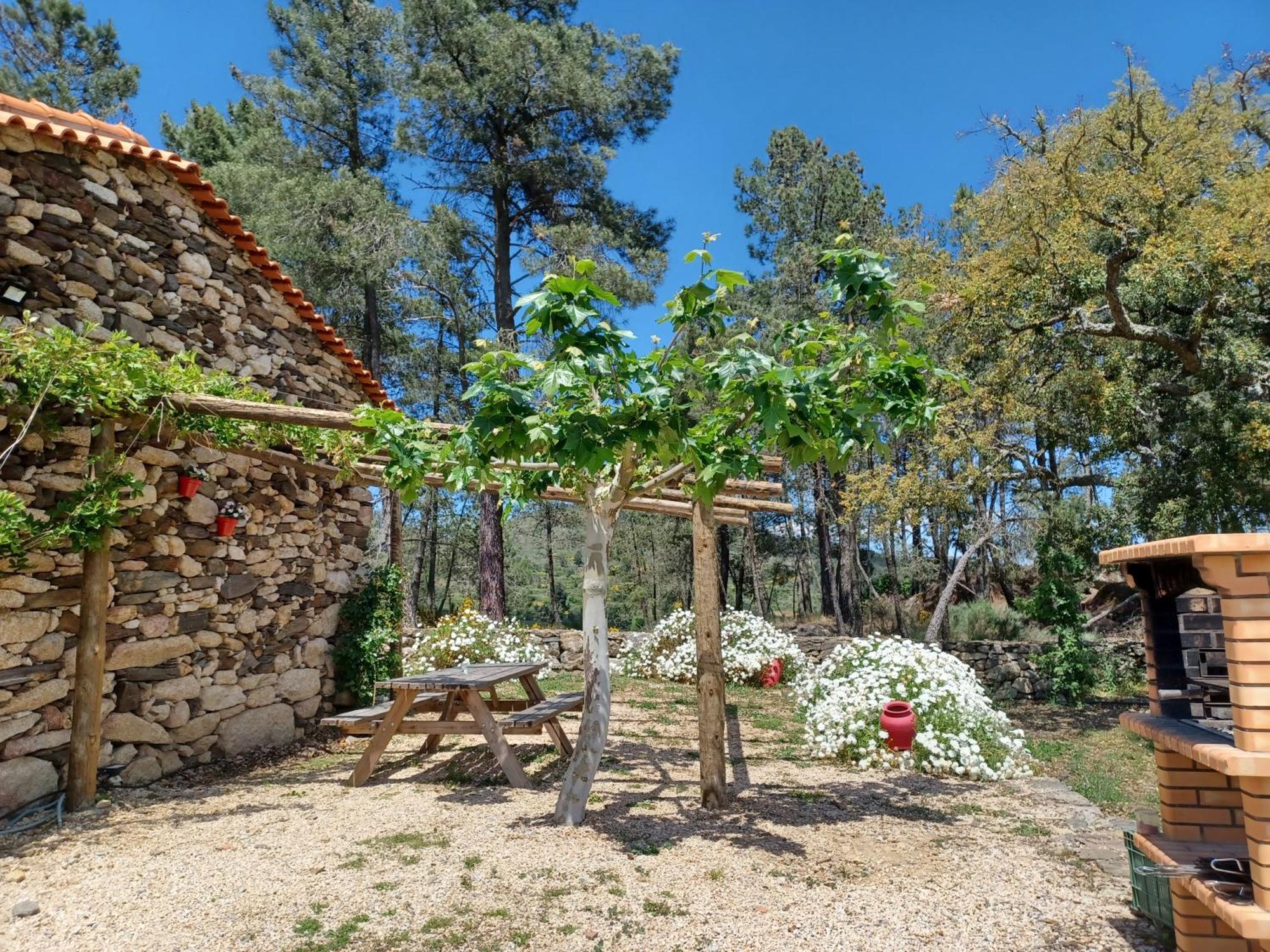 Villa Casa Do Feitor - Douro - Quinta Da Cabrida à Sendim  Extérieur photo