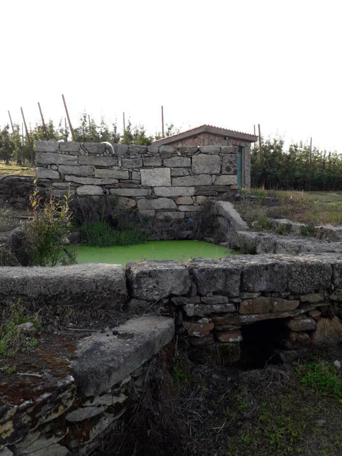 Villa Casa Do Feitor - Douro - Quinta Da Cabrida à Sendim  Extérieur photo