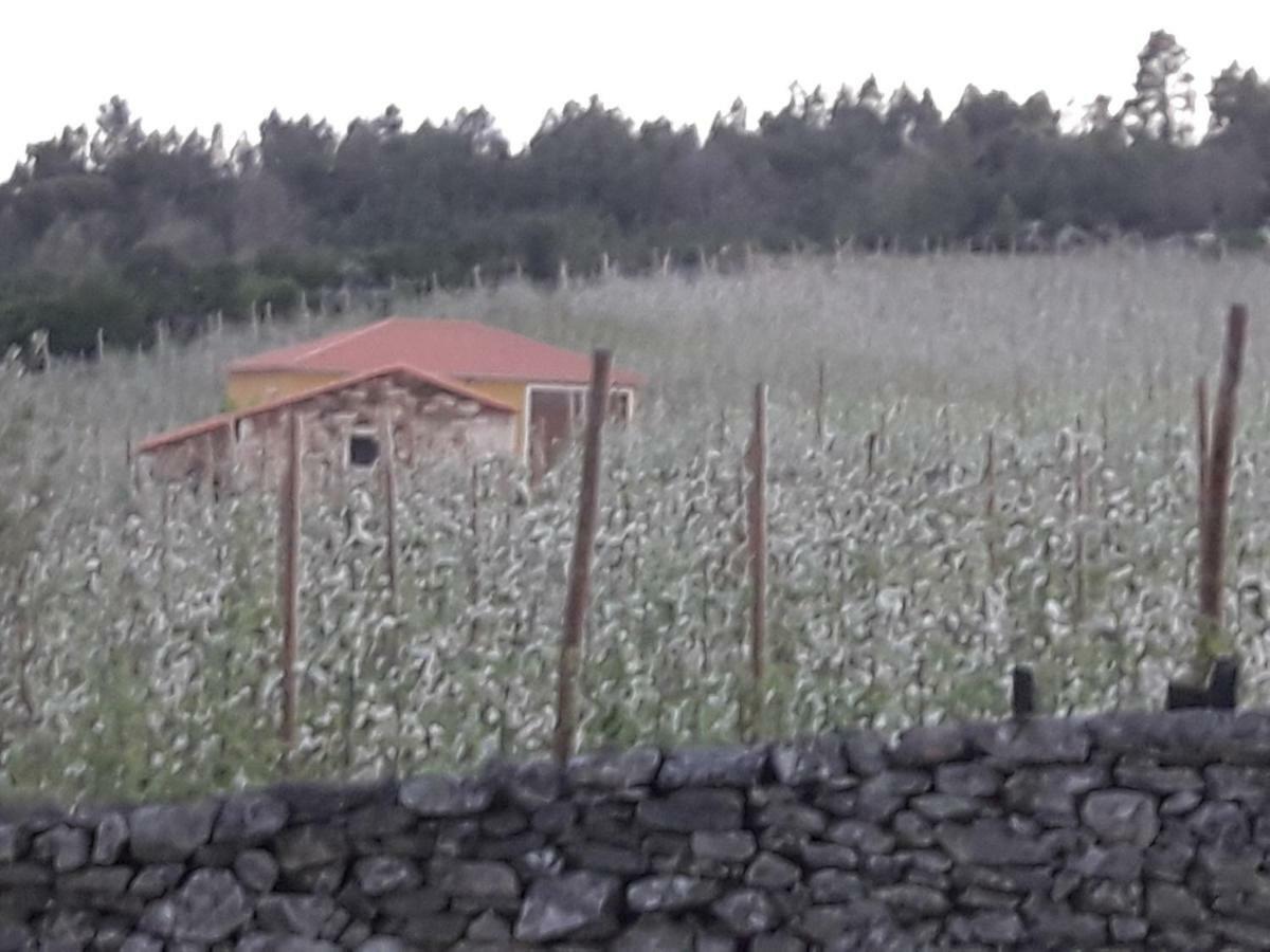 Villa Casa Do Feitor - Douro - Quinta Da Cabrida à Sendim  Extérieur photo